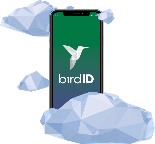 Bird Id - 5000 Transações - 12 meses